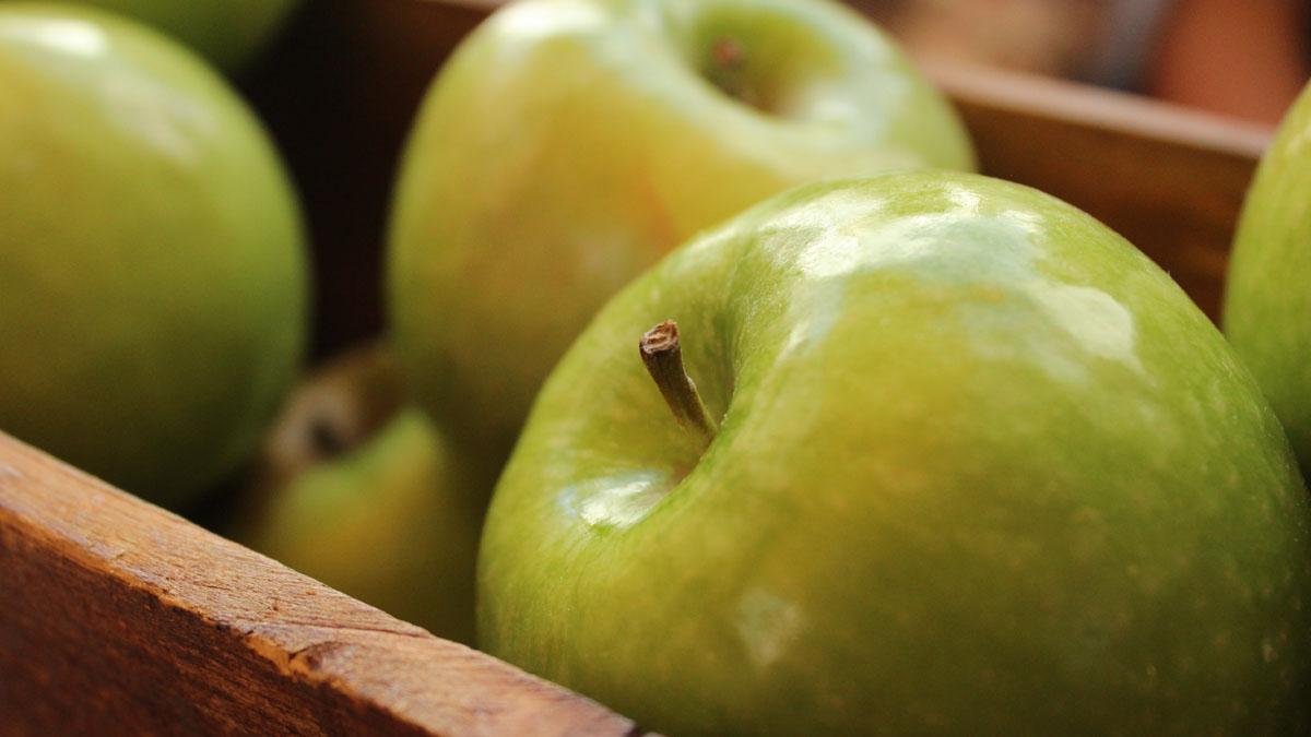 Green apples in boxes