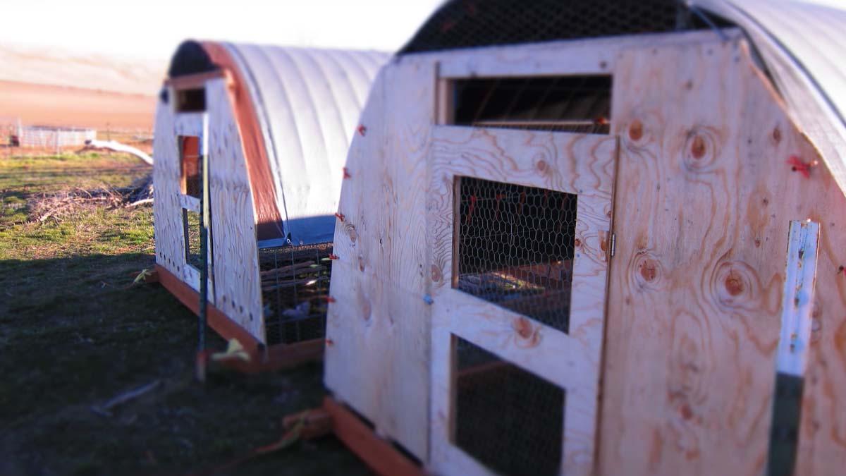 hen houses