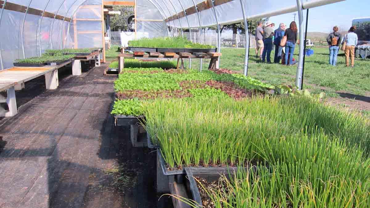 touring greenhouses