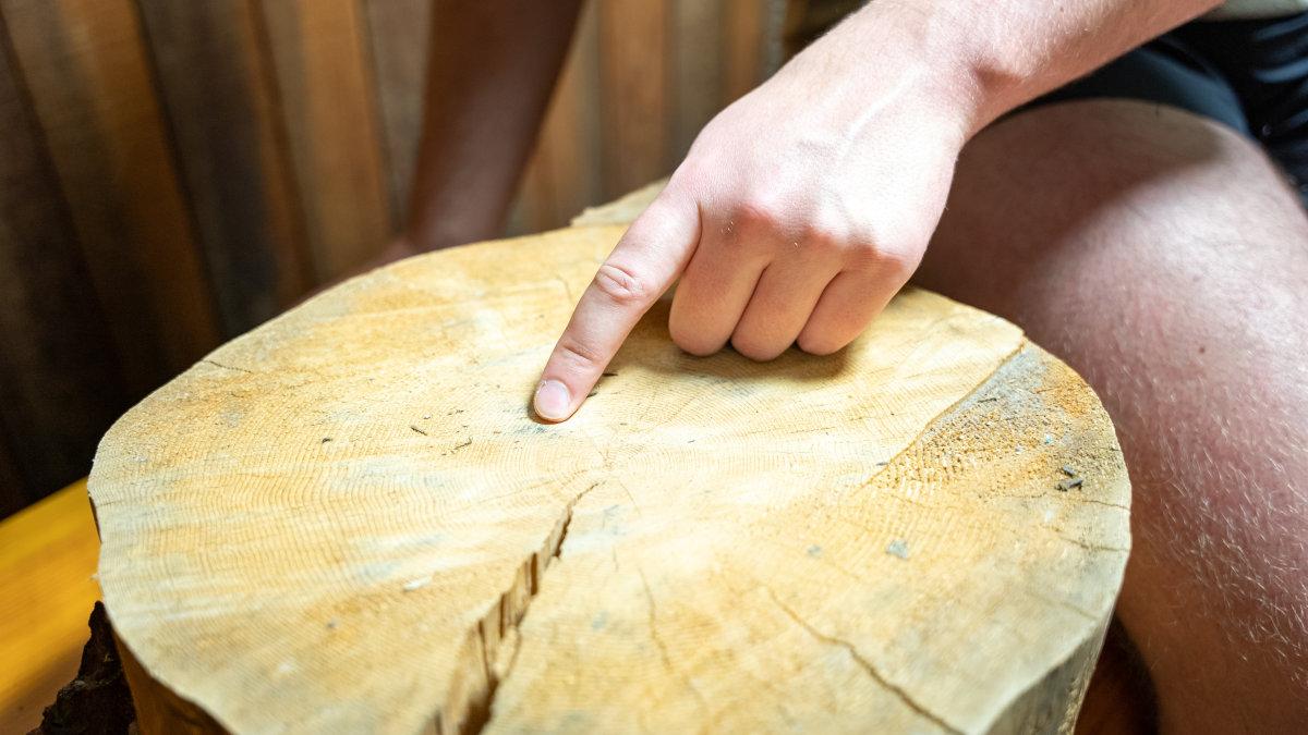 A hand and index finger pointing at a fire scar in a bolt of wood.